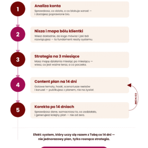 InstaStrateg AI - strategia na Instagram z AI w 5 krokach