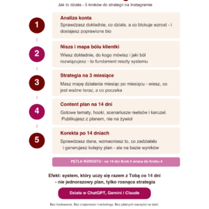 InstaStrateg AI - strategia na Instagram z AI w 5 krokach - obrazek 2