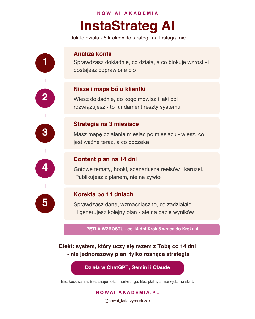 InstaStrateg AI - strategia na Instagram z AI w 5 krokach - obrazek 2